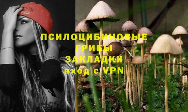 прущий лед Алзамай