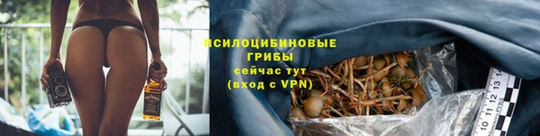 прущий лед Алзамай