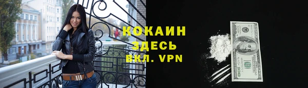прущий лед Алзамай