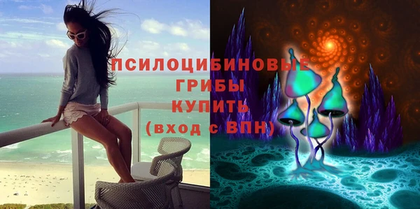 мет Алексин
