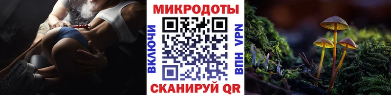 Галлюциногенные грибы Psilocybine cubensis Зея